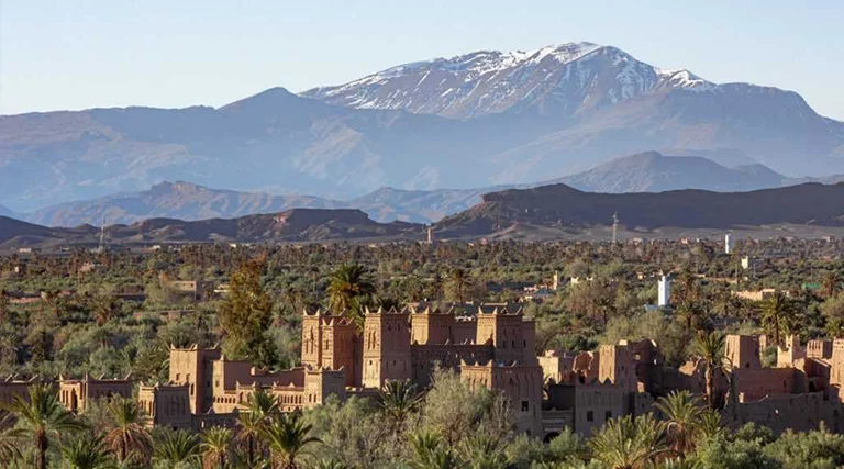 Adéntrate en el exuberante oasis de palmeras de Skoura y déjate envolver por su belleza natural