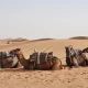 Desiertos en Marruecos