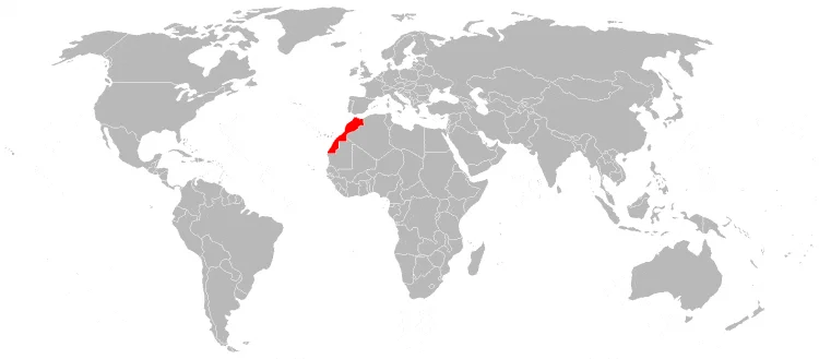 Transporte aéreo internacional a Marruecos - Viajar a Marruecos