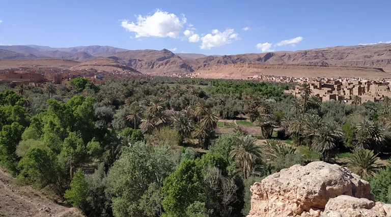 Valle de Ziz y su inmenso palmeral