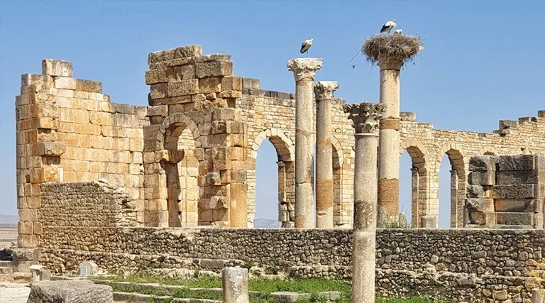 Volubilis, un tesoro arqueológico en Marruecos