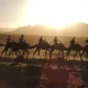 Zagora, una puerta de entrada al desierto, te cautivará con su encanto auténtico y sus paisajes deslumbrantes