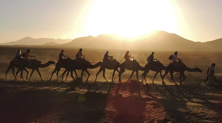 Zagora, una puerta de entrada al desierto, te cautivará con su encanto auténtico y sus paisajes deslumbrantes