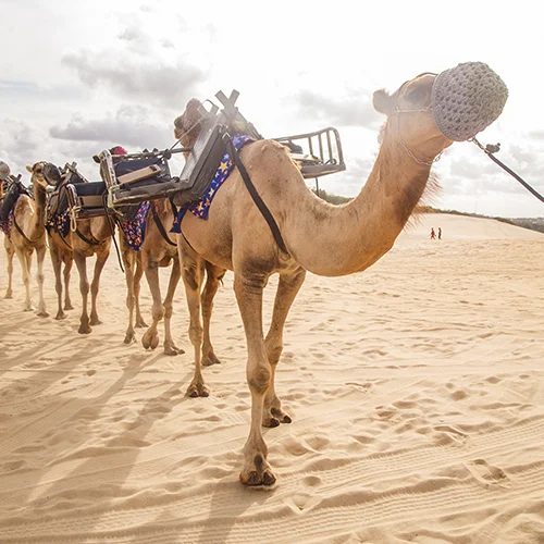 Viajar a Marruecos, viajes privados y personalizados