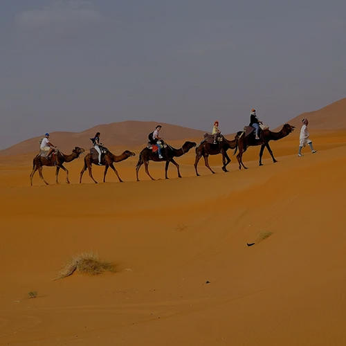 De Errachidia a Fez través del Desierto en 3 días 6