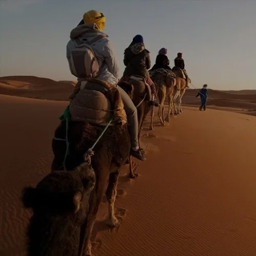 Desde Ouarzazate hasta el desierto por las Gargantas del Todra en 3 días 6