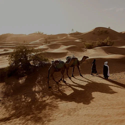Desde Tánger hasta Marrakech por el desierto en 10 días 6