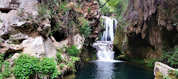 Excursión a las Cascadas de Akchour