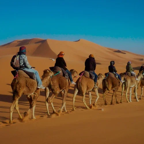 De Fez a Marrakech por el desierto de Merzouga en 2 días 6