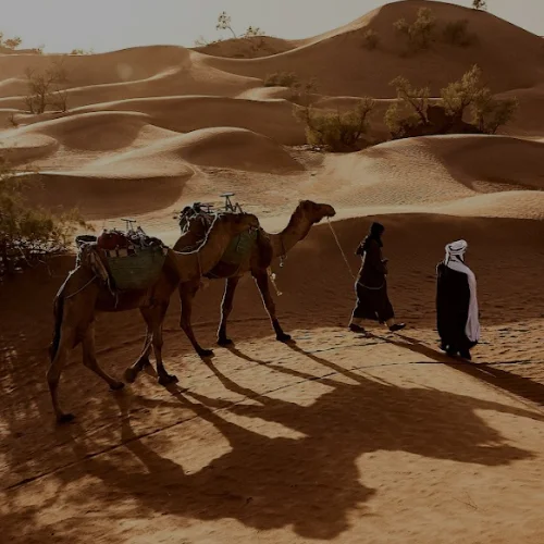 Desde Marrakech al desierto de Zagora en 2 días 6